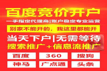 SEM广告投放中的数据监控与调整策略——以某品牌营销案例为例